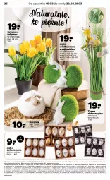 Gazetka promocyjna Netto - Akcesoria i dodatki - Gazetka - ważna od 22.03 do 22.03.2023 - strona 10 - produkty: Kujawski, Top, Sok, Tulipan, Podlaski, Stock, Fa