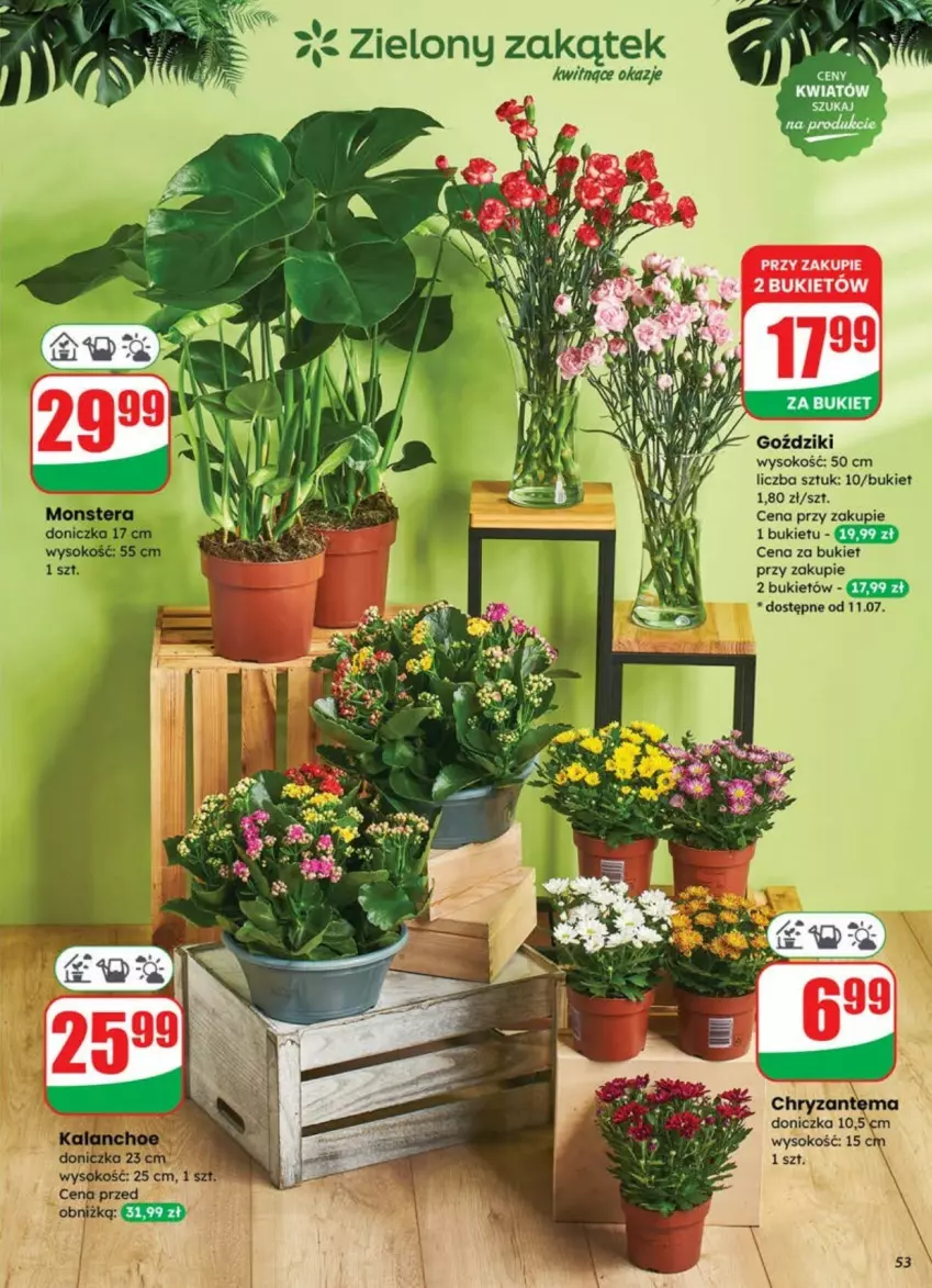 Gazetka promocyjna Dino - ważna 09.07 do 13.07.2025 - strona 49 - produkty: Bukiet, Chryzantema, Kalanchoe, Sok