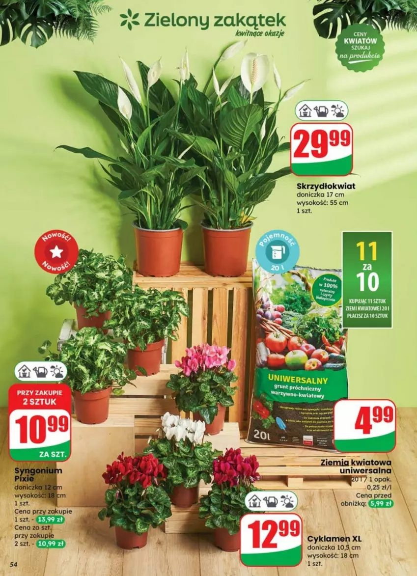 Gazetka promocyjna Dino - ważna 09.07 do 13.07.2025 - strona 50 - produkty: Cyklamen, Sok