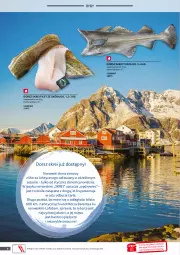Gazetka promocyjna Selgros - Oferta gastronomiczna - Gazetka - ważna od 31.01 do 31.01.2022 - strona 8 - produkty: Ryba, Tusz, Dorsz, Mięso, LG