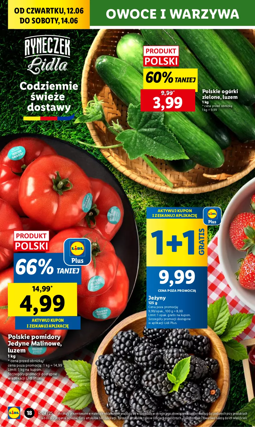 Gazetka promocyjna Lidl - GAZETKA - ważna 12.06 do 14.06.2025 - strona 20 - produkty: Gra, Jeżyny, Owoce, Pomidory, Warzywa