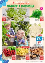 Gazetka promocyjna Carrefour - Gazetka Znane, lubiane i z POLSKI - Gazetka - ważna od 19.07 do 19.07.2021 - strona 4 - produkty: Sałata lodowa, Ziemniaki, Sałat, Fa