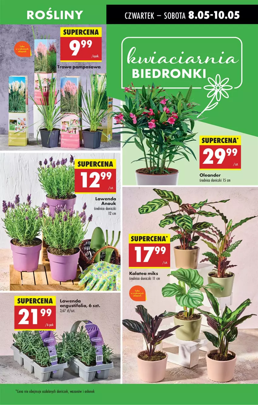 Gazetka promocyjna Biedronka - Od Czwartku - ważna 08.05 do 14.05.2025 - strona 27 - produkty: Wazon