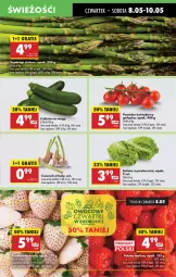 Gazetka promocyjna Biedronka - Od Czwartku - Gazetka - ważna od 14.05 do 14.05.2025 - strona 23 - produkty: Gra, Czosnek, Sałat