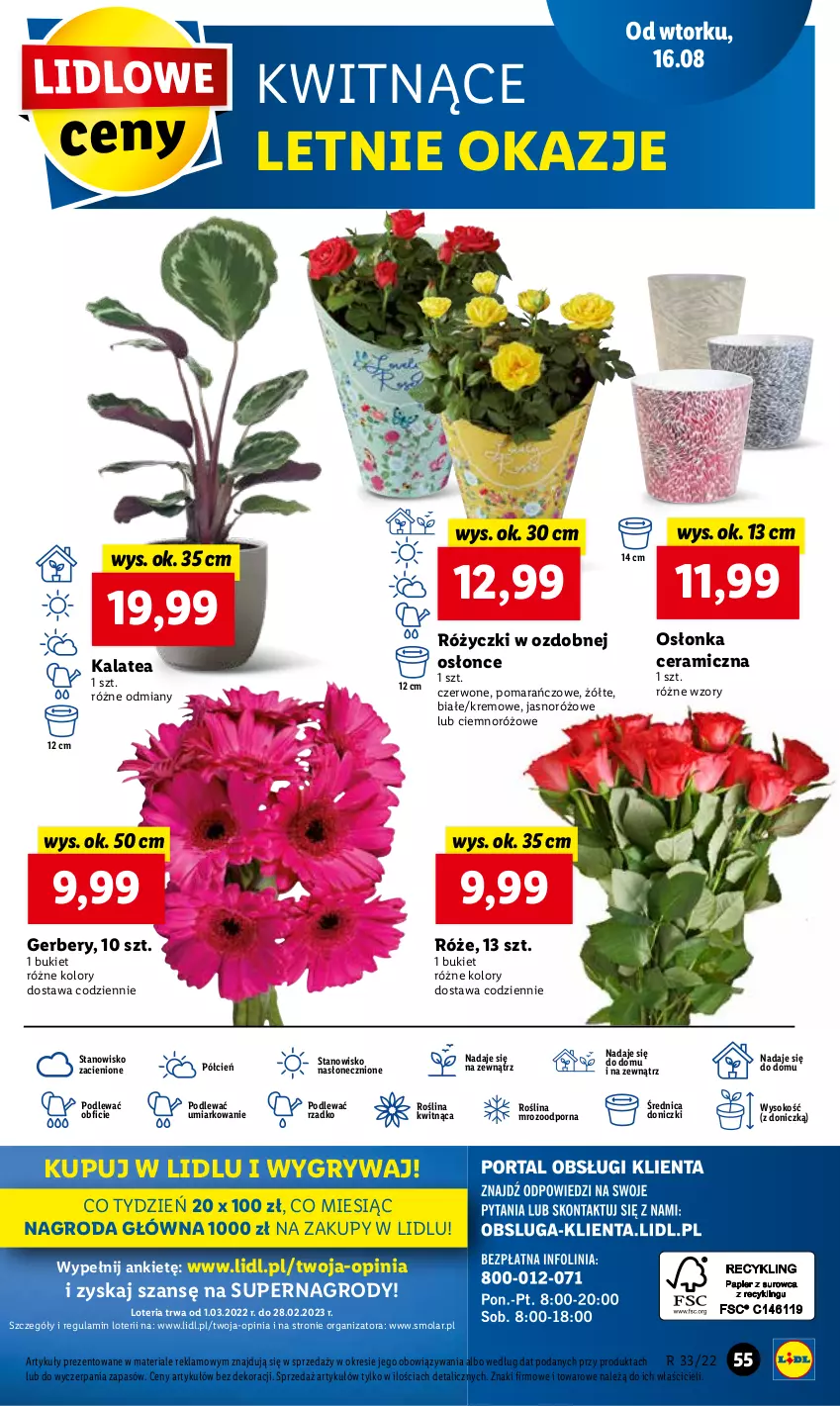 Gazetka promocyjna Lidl - GAZETKA - ważna 16.08 do 17.08.2022 - strona 59 - produkty: Bukiet, Cień, Gerber, Gry, Mola, O nas, Osłonka, Por, Sok