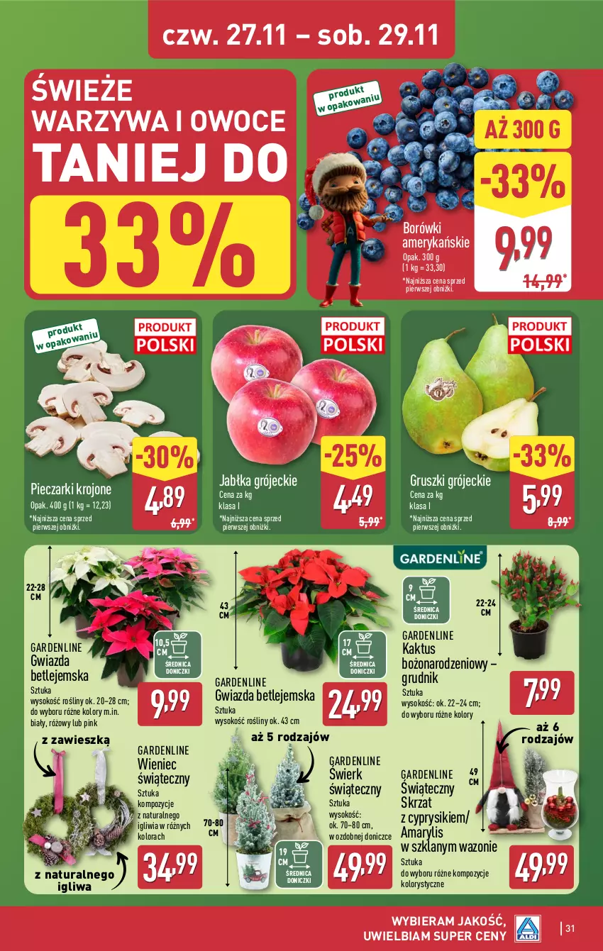 Gazetka promocyjna Aldi - Pełna oferta - ważna 24.11 do 29.11.2025 - strona 31 - produkty: Amarylis, Cyprysik, Gruszki, Gwiazda, Jabłka, Kaktus, Owoce, Piec, Pieczarki krojone, Skrzat, Sok, Warzywa, Warzywa i owoce, Wazon, Wieniec