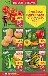Gazetka promocyjna Aldi - Pełna oferta - Gazetka - ważna od 29.11 do 29.11.2025 - strona 2 - produkty: All Seasons, Papryka, Ziemniaki, Pomidory