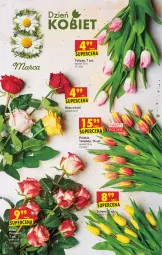Gazetka promocyjna Biedronka - W tym tygodniu PN - Gazetka - ważna od 13.03 do 13.03.2021 - strona 6 - produkty: Sok, Tulipan, Róża