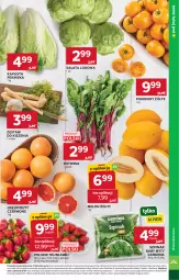 Gazetka promocyjna Stokrotka - Market - Gazetka - ważna od 17.06 do 17.06.2026 - strona 5 - produkty: Warzywa, Sałata lodowa, Truskawki, Sałat, Optima, Owoce, Pomidory, Melon, Mięso, Grejpfrut, Szpinak