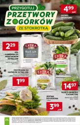 Gazetka promocyjna Stokrotka - Market - Gazetka - ważna od 17.06 do 17.06.2026 - strona 6 - produkty: Warzywa, Sól, Kret, Optima, Owoce, Grunt, Mięso