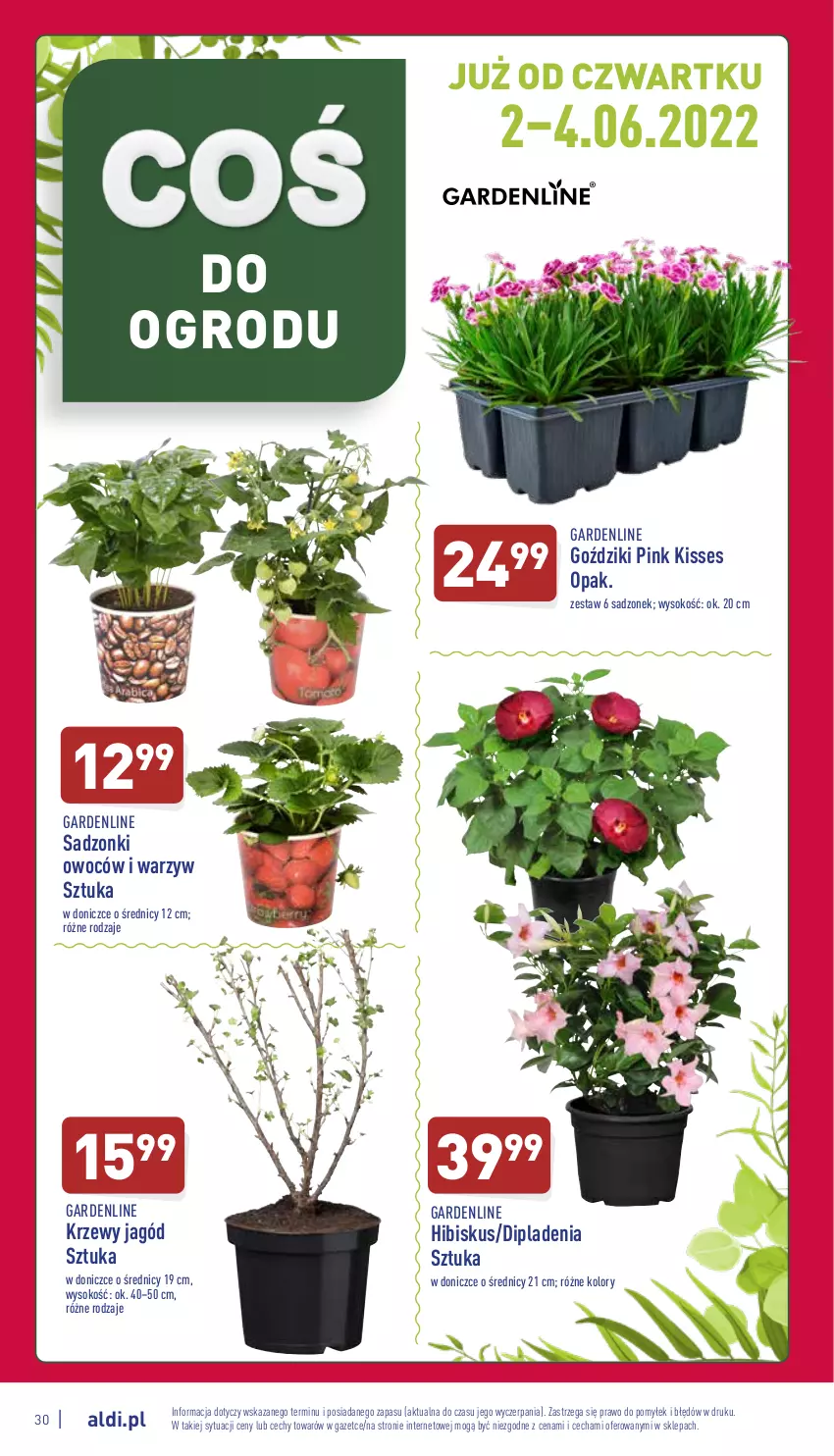 Gazetka promocyjna Aldi - Pełny katalog - ważna 30.05 do 04.06.2022 - strona 30 - produkty: Hibiskus, Sok