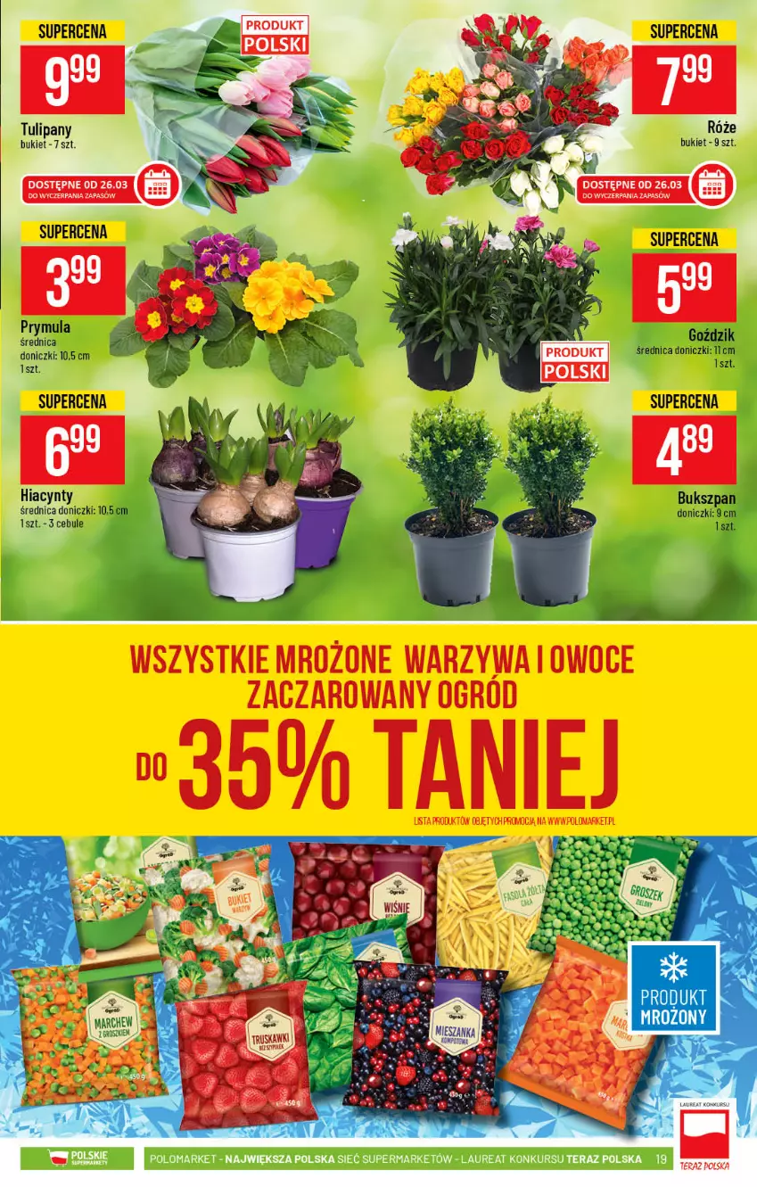 Gazetka promocyjna PoloMarket - Gazetka promocyjna  r - ważna 24.03 do 30.03.2021 - strona 19 - produkty: Bukiet, Laur, Tera, Tulipan