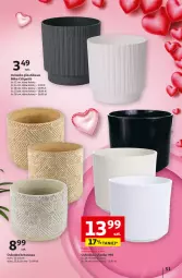 Gazetka promocyjna Auchan - z MAŁĄ CENKĄ dźwigniesz więcej! Hipermarket - Gazetka - ważna od 12.02 do 12.02.2025 - strona 59 - produkty: Osłonka, Fa