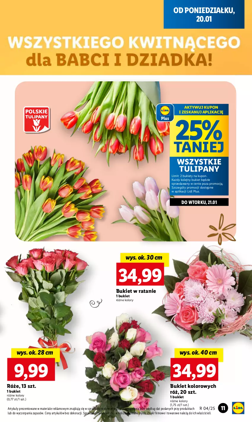 Gazetka promocyjna Lidl - GAZETKA - ważna 20.01 do 22.01.2025 - strona 13 - produkty: Bukiet, Olej, Tulipan