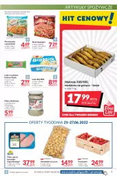 Gazetka promocyjna Makro - [Oferta promocyjna] Artykuły spożywcze i przemysłowe - Gazetka - ważna od 27.06 do 27.06.2022 - strona 5 - produkty: Kurczak, Marchewka, Mop, Filet z piersi kurczaka, Kaktus, Truskawki, Big Milk, Ziemniaki, Tusz, Lody, Pizza, Artykuły spożywcze, Hortex