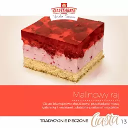 Gazetka promocyjna Topaz - Gazetka - Gazetka - ważna od 08.02 do 08.02.2025 - strona 13 - produkty: Piec