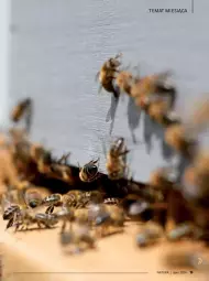 Gazetka promocyjna Drogerie Natura - Gazetka Drogerie Natura - Gazetka - ważna od 31.07 do 31.07.2024 - strona 19 - produkty: Piec