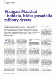 Gazetka promocyjna Drogerie Natura - Gazetka Drogerie Natura - Gazetka - ważna od 31.07 do 31.07.2024 - strona 34 - produkty: Piec, Top, Ser, Rum, Mus, Gra, Lion, Słynne, Grunt