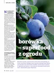 Gazetka promocyjna Drogerie Natura - Gazetka Drogerie Natura - Gazetka - ważna od 31.07 do 31.07.2024 - strona 74 - produkty: Piec, Sok, Por, Mop, Gin, Borówka, Owoce, LG