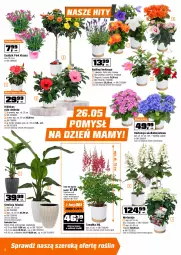 Gazetka promocyjna Obi - Gazetka OBI - Gazetka - ważna od 01.06 do 01.06.2026 - strona 2 - produkty: Inka, Hibiskus, Róża, Termometr, Stolik, Pojemnik, Lack, Grill, Drzwi, Ogród, Grill gazowy