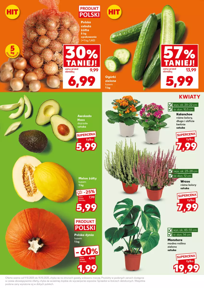 Gazetka promocyjna Kaufland - Mocny Start - ważna 13.10 do 15.10.2025 - strona 17 - produkty: Kalanchoe, Melon, Tera