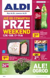 Gazetka promocyjna Aldi - Od Czwartku - Gazetka - ważna od 19.06 do 19.06.2021 - strona 1 - produkty: Orzeszki, Cytryny, Mięsne specjały, Tera, Schab wieprzowy, Napój gazowany, Orzeszki ziemne, Napój