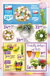 Gazetka promocyjna Auchan - Przygotuj się do Świąt Hipermarkety - Gazetka - ważna od 24.03 do 24.03.2021 - strona 7 - produkty: Kalanchoe