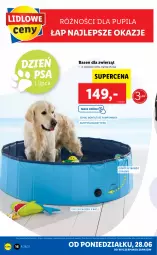 Gazetka promocyjna Lidl - GAZETKA - Gazetka - ważna od 03.07 do 03.07.2021 - strona 16 - produkty: Por, Tran, Torba, Sport