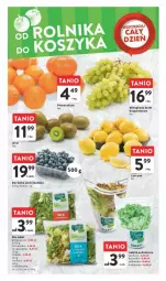 Gazetka promocyjna Intermarche - Gazetka - ważna od 14.02 do 14.02.2024 - strona 39 - produkty: Por, Borówka, Borówka amerykańska, Sałat, Wino, Masło, Szpinak