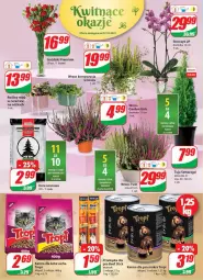 Gazetka promocyjna Dino - Gazetka - Gazetka - ważna od 12.10 do 12.10.2021 - strona 16 - produkty: Sos, Ser, Vitakraft, Kosz, Storczyk, Bukiet