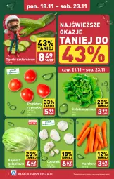 Gazetka promocyjna Aldi - Pełna oferta - Gazetka - ważna od 23.11 do 23.11.2024 - strona 4 - produkty: Sałata masłowa, Czosnek, Sałat, Masło, Pomidory