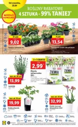 Gazetka promocyjna Lidl - GAZETKA - Gazetka - ważna od 30.04 do 30.04.2022 - strona 62 - produkty: Piwo, Sok, Bell, Cień, Storczyk, Bella, Aksam