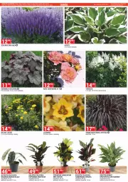Gazetka promocyjna Merkury Market - Gazetka - ważna od 30.06 do 30.06.2023 - strona 48 - produkty: Chrzan, Sok, Gin