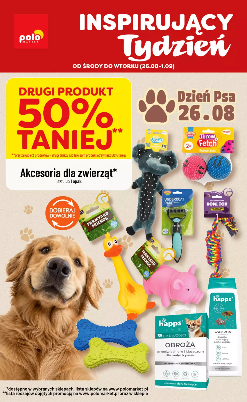 Gazetka promocyjna PoloMarket - Oferta NF od 26.08 - ważna 26.08 do 01.09.2026 - strona 1 - produkty: Jaja, Szampon