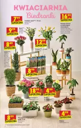 Gazetka promocyjna Biedronka - W tym tygodniu PN - Gazetka - ważna od 25.04 do 25.04.2021 - strona 53 - produkty: Sok, Róża, Tera, LG