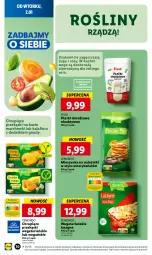 Gazetka promocyjna Lidl - GAZETKA - Gazetka - ważna od 03.01 do 03.01.2024 - strona 32 - produkty: Naleśniki, Kalafior, Sos, Ser, Wazon, Lasagne