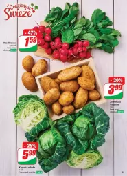 Gazetka promocyjna Dino - Gazetka - ważna od 08.04 do 08.04.2025 - strona 29 - produkty: Rzodkiewka