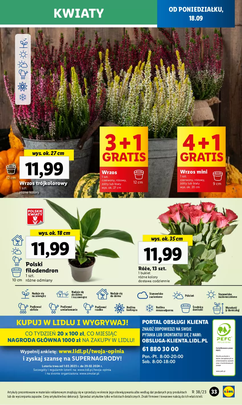 Gazetka promocyjna Lidl - GAZETKA - ważna 18.09 do 20.09.2023 - strona 41 - produkty: Bukiet, Cień, Gra, Gry, Mola, O nas, Por, Sok