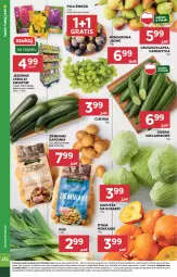 Gazetka promocyjna Stokrotka - Market - Gazetka - ważna od 10.09 do 10.09.2025 - strona 10 - produkty: Warzywa, Por, Gra, Ziemniaki, Siatka, Gruszki, Winogrona, Owoce, Wino, Mięso, Fa