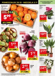Gazetka promocyjna Delikatesy Centrum - NOWA GAZETKA Delikatesy Centrum od 28 października! 28.10-3.11.2024 - Gazetka - ważna od 03.11 do 03.11.2024 - strona 17 - produkty: Mandarynki, Cebula, Rum, Kiwi