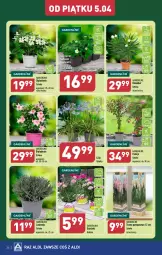 Gazetka promocyjna Aldi - Pełna oferta - Gazetka - ważna od 06.04 do 06.04.2024 - strona 34 - produkty: Sok