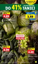 Gazetka promocyjna Lidl - GAZETKA - Gazetka - ważna od 03.06 do 03.06.2023 - strona 11 - produkty: Warzywa, Sałata lodowa, Sałat, Grunt