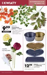 Gazetka promocyjna Biedronka - Okazje tygodnia - Gazetka - ważna od 05.10 do 05.10.2024 - strona 27 - produkty: Chryzantema, Bukiet, Znicz, Osłonka