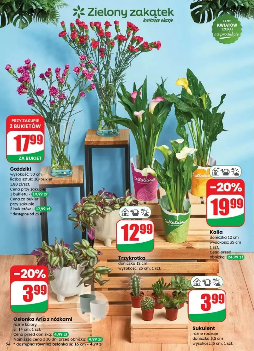 Gazetka promocyjna Dino - ważna 23.07 do 29.07.2025 - strona 50 - produkty: Bukiet, Fa, Osłonka, Sok