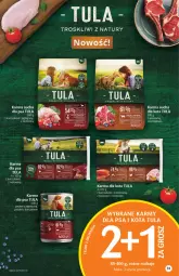 Gazetka promocyjna Delikatesy Centrum - Gazetka DC16 - Gazetka - ważna od 04.05 do 04.05.2022 - strona 31 - produkty: Kurczak, Sos, Jeżyny, Fa