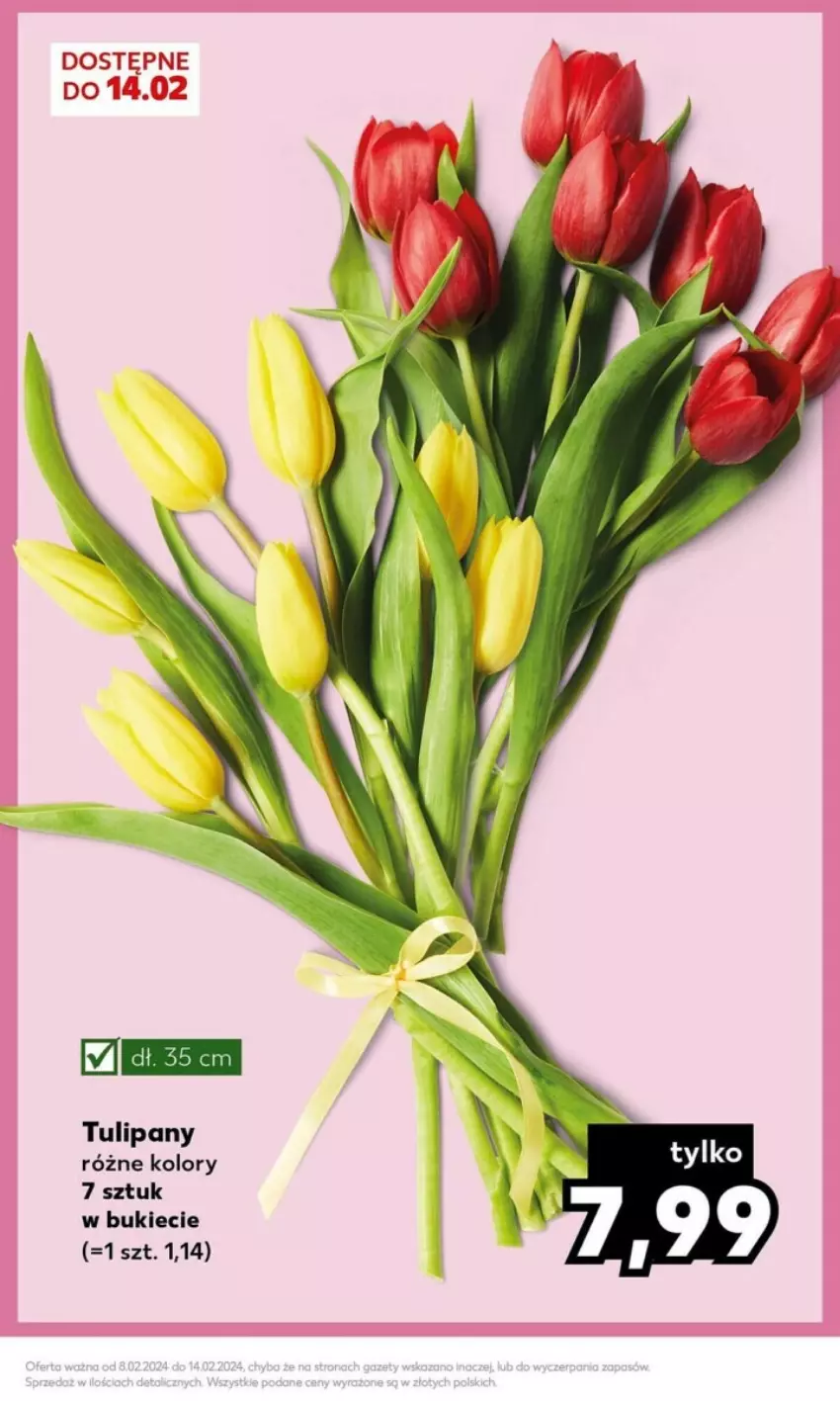 Gazetka promocyjna Kaufland - ważna 12.02 do 14.02.2024 - strona 24 - produkty: Tulipan