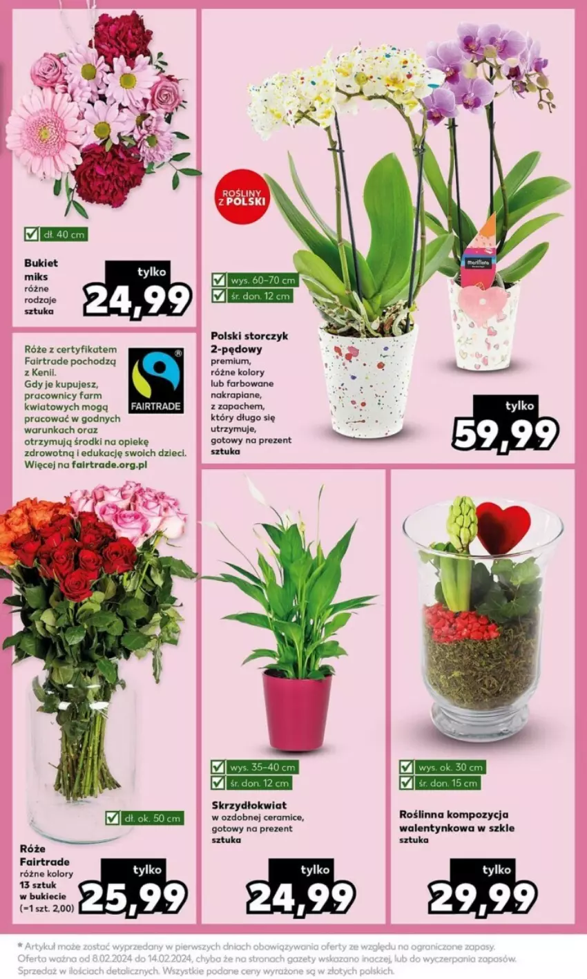 Gazetka promocyjna Kaufland - ważna 12.02 do 14.02.2024 - strona 3 - produkty: Bukiet, Dzieci, Fa, Storczyk