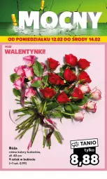 Gazetka promocyjna Kaufland - Gazetka - ważna od 14.02 do 14.02.2024 - strona 21 - produkty: Bukiet