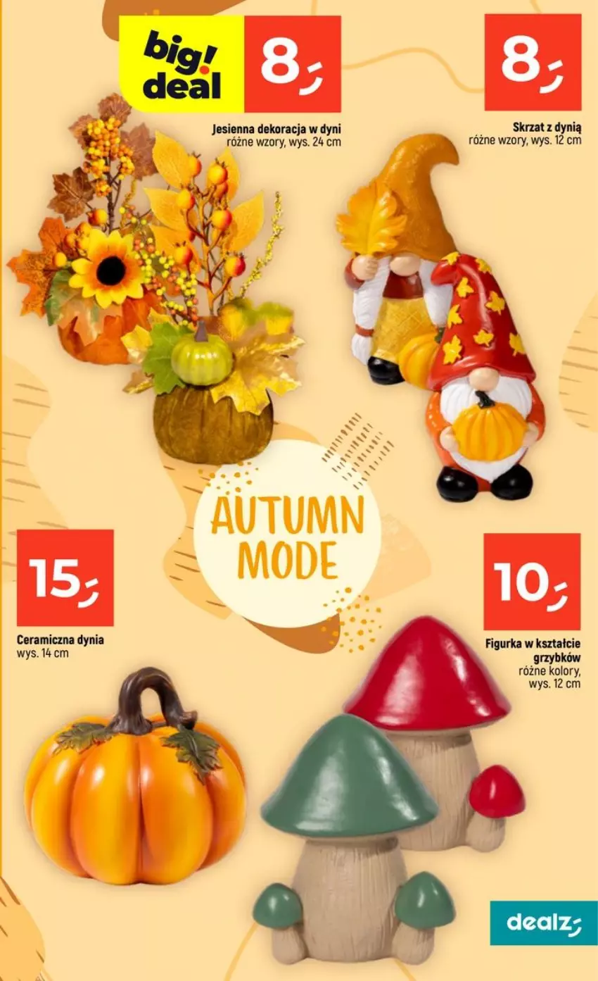 Gazetka promocyjna Dealz - NOWA GAZETKA - ważna 13.08 do 19.08.2026 - strona 41 - produkty: Dynią, Skrzat