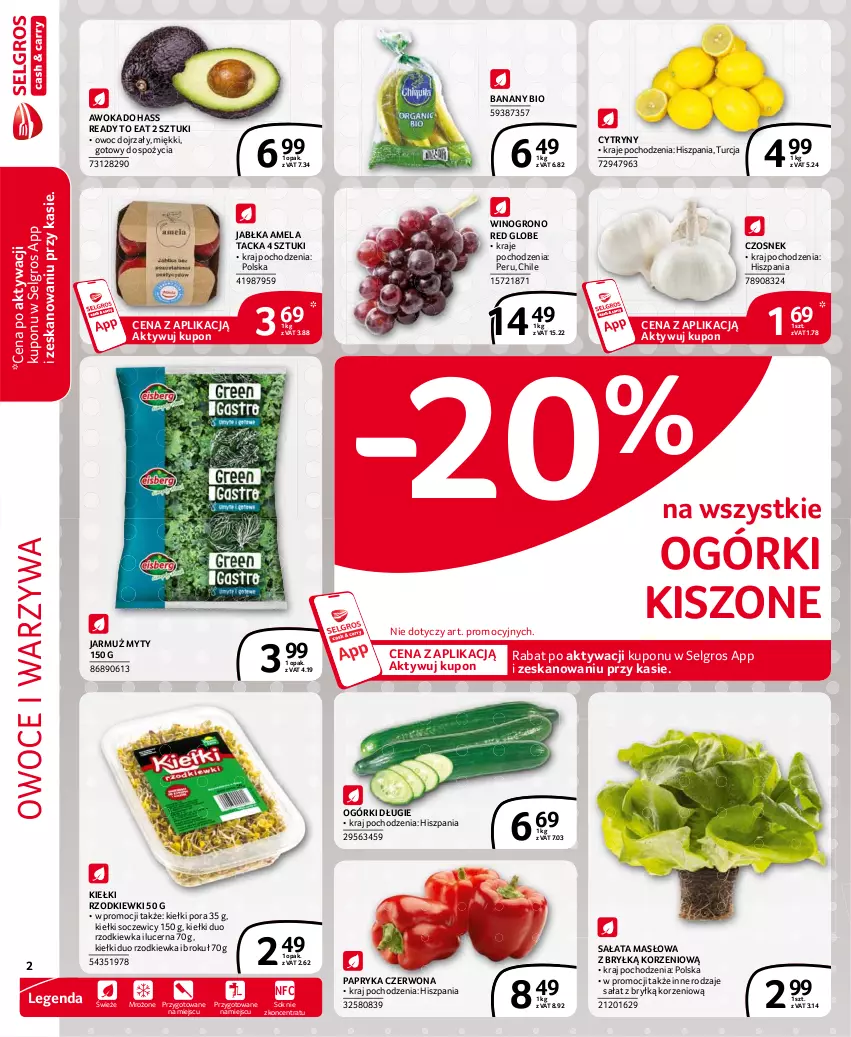 Gazetka promocyjna Selgros - Extra Oferta - ważna 01.01 do 31.01.2021 - strona 2